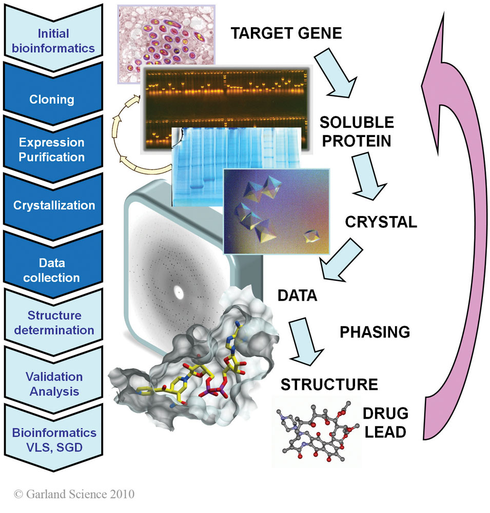 Biomolecular_Crystallography_Fig_1-4