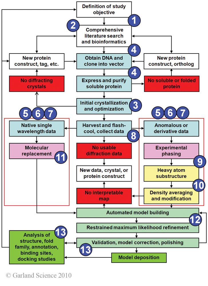 Biomolecular_Crystallography_Fig_1-8