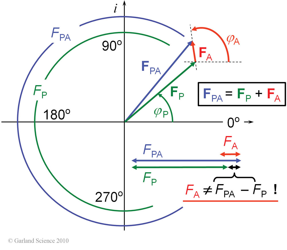 Biomolecular_Crystallography_Fig_10-02