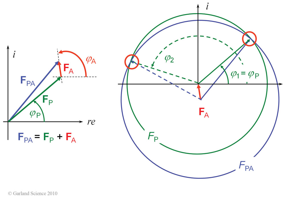 Biomolecular_Crystallography_Fig_10-03