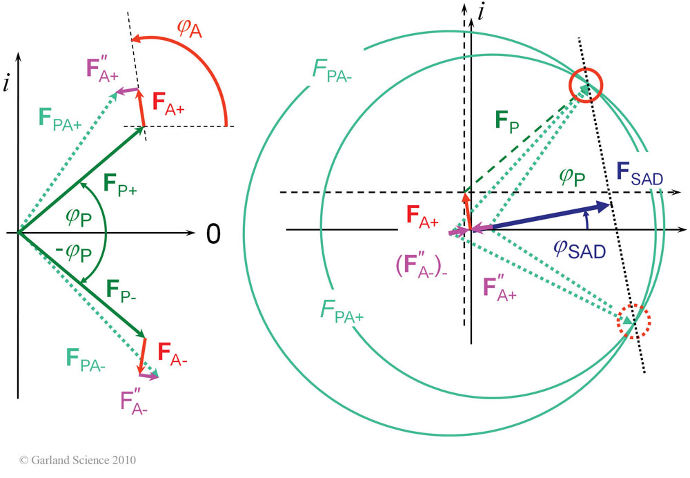 Biomolecular_Crystallography_Fig_10-13