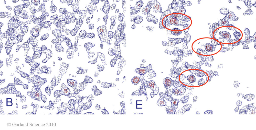 Biomolecular_Crystallography_Fig_10-31_PART2