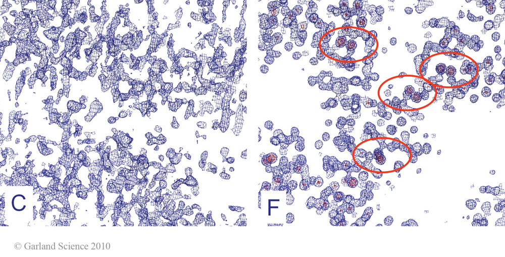 Biomolecular_Crystallography_Fig_10-31_PART3