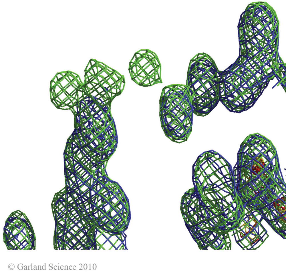Biomolecular_Crystallography_Fig_10-34