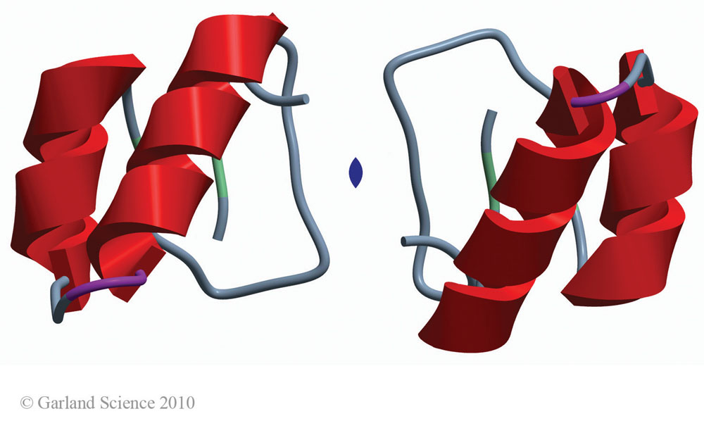 Biomolecular_Crystallography_Fig_10-35