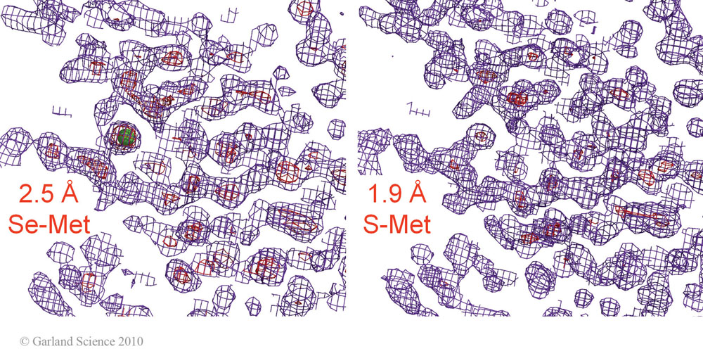 Biomolecular_Crystallography_Fig_10-38