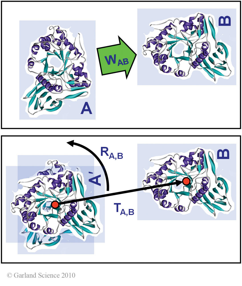Biomolecular_Crystallography_Fig_11-03