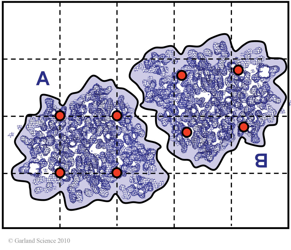 Biomolecular_Crystallography_Fig_11-13_PART1