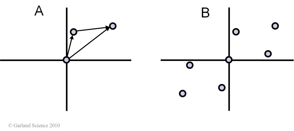 Biomolecular_Crystallography_Fig_11-23_PART1