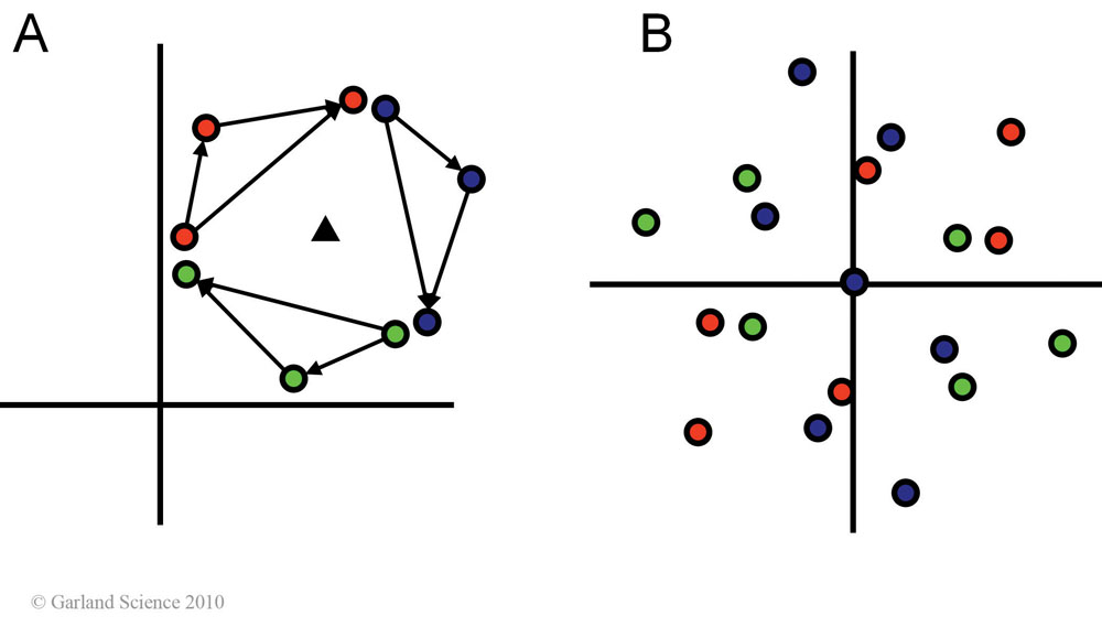 Biomolecular_Crystallography_Fig_11-24_PART1