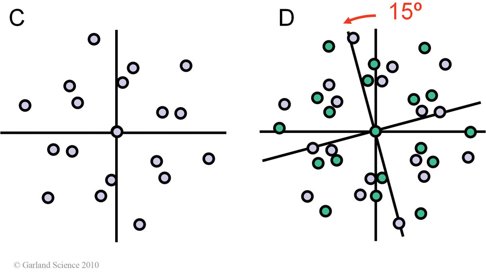 Biomolecular_Crystallography_Fig_11-24_PART2