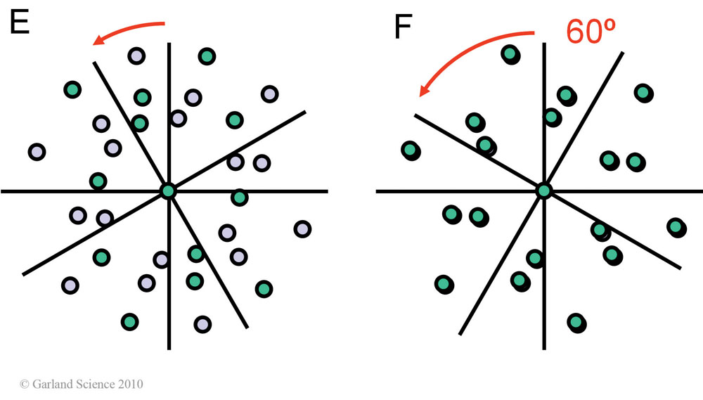 Biomolecular_Crystallography_Fig_11-24_PART3