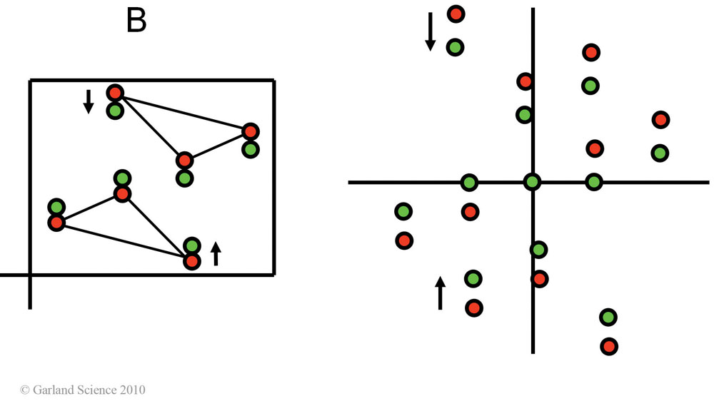 Biomolecular_Crystallography_Fig_11-25_PART2
