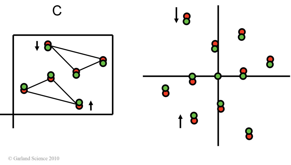 Biomolecular_Crystallography_Fig_11-25_PART3