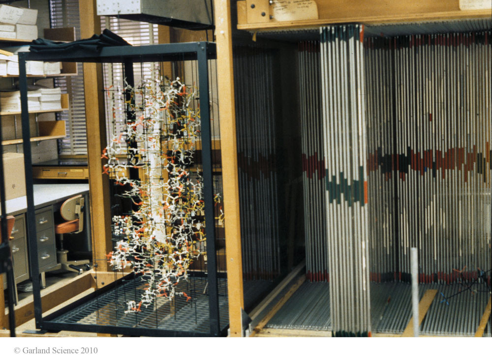 Biomolecular_Crystallography_Fig_12-01_PART1