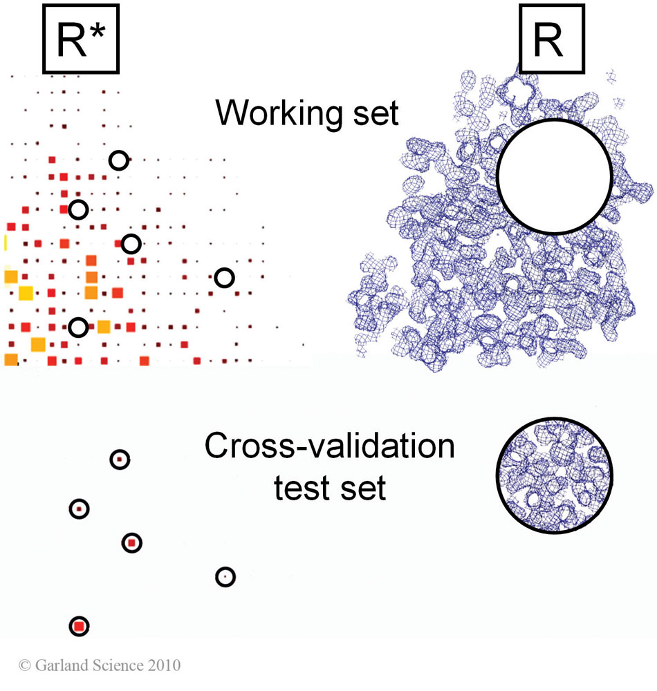 Biomolecular_Crystallography_Fig_12-10