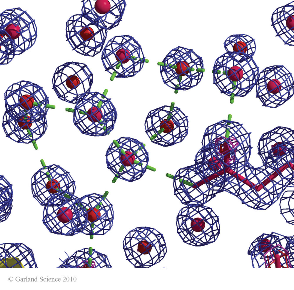 Biomolecular_Crystallography_Fig_12-28