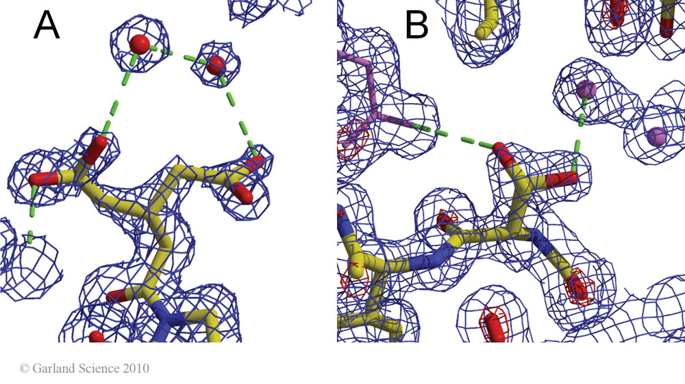 Biomolecular_Crystallography_Fig_12-33_AandB