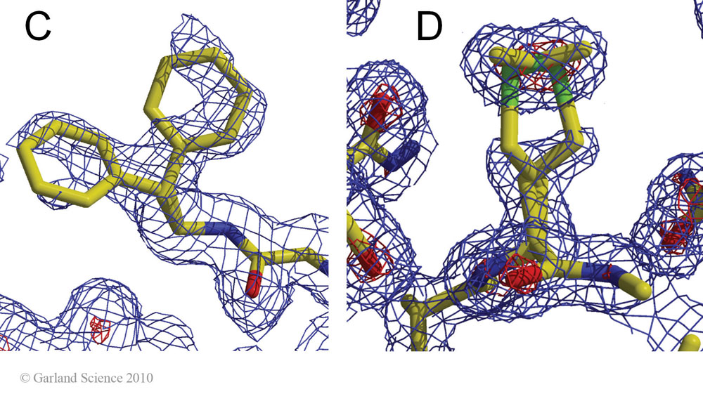 Biomolecular_Crystallography_Fig_12-33_CandD