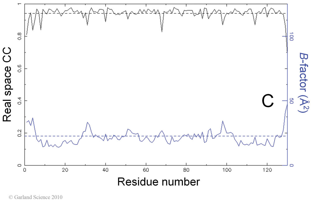 Biomolecular_Crystallography_Fig_12-34_C