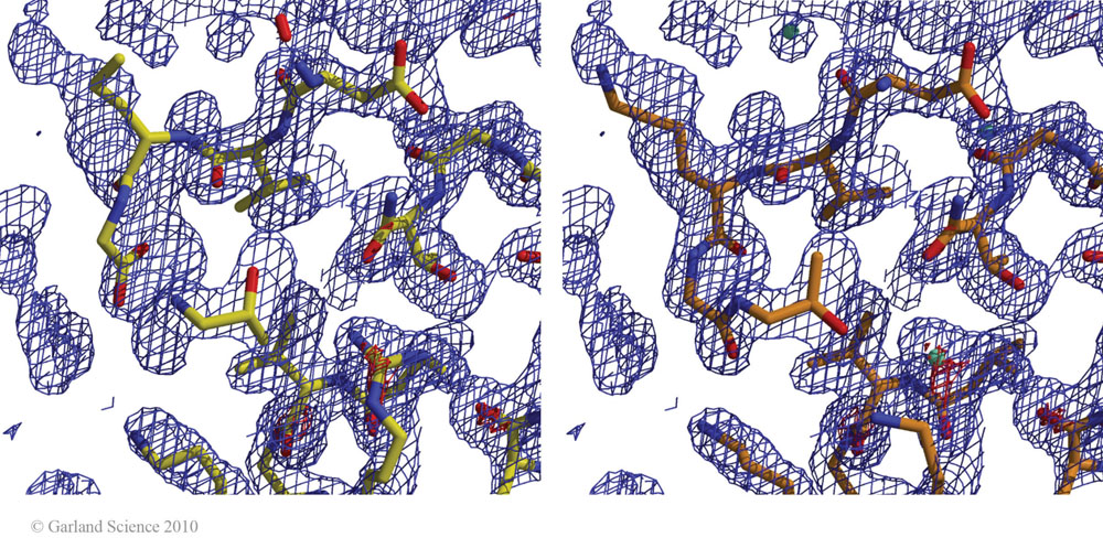 Biomolecular_Crystallography_Fig_12-35