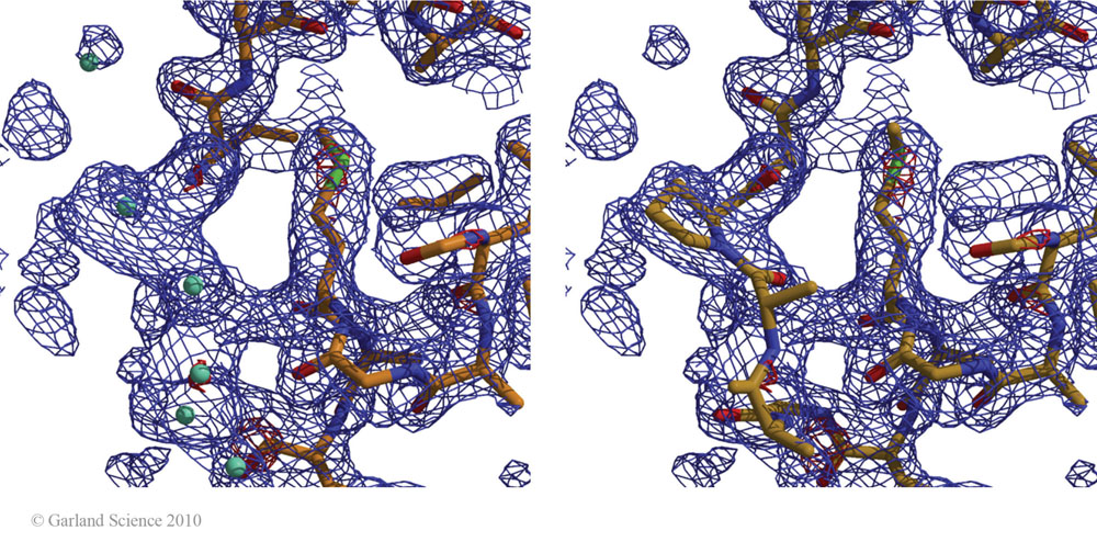 Biomolecular_Crystallography_Fig_12-36