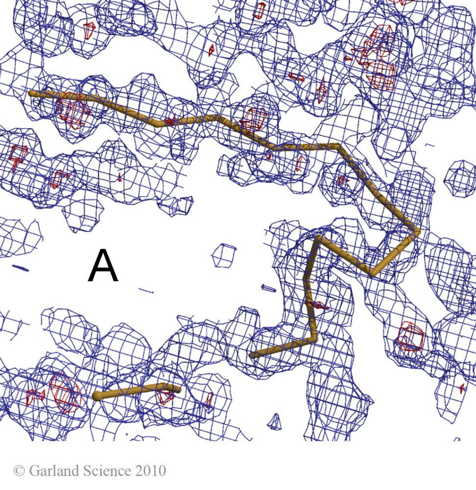 Biomolecular_Crystallography_Fig_12-37_A