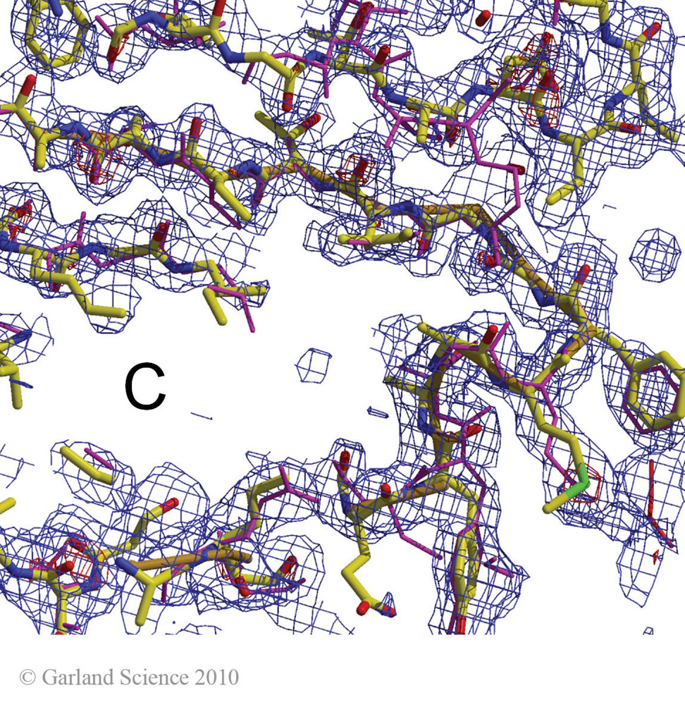 Biomolecular_Crystallography_Fig_12-37_C