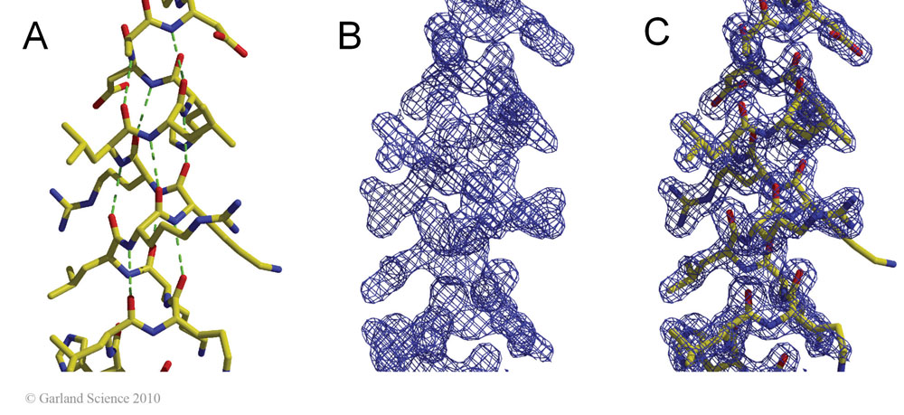 Biomolecular_Crystallography_Fig_12-37_PART1