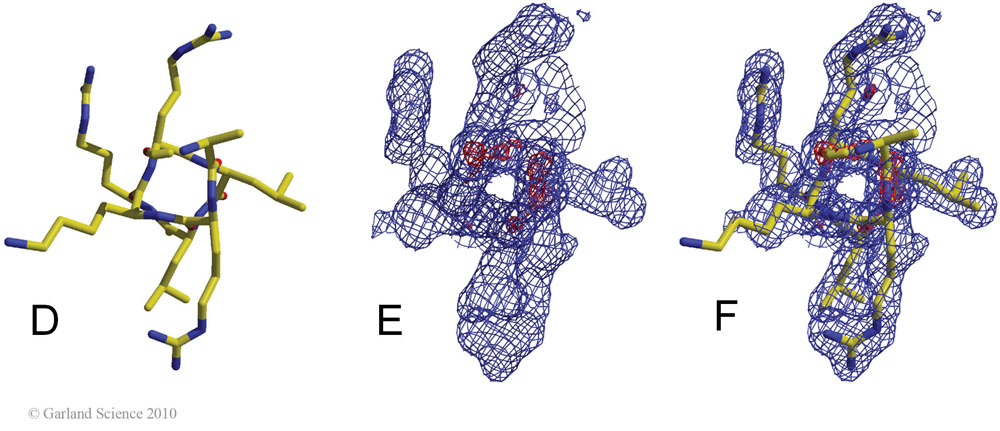 Biomolecular_Crystallography_Fig_12-37_PART2