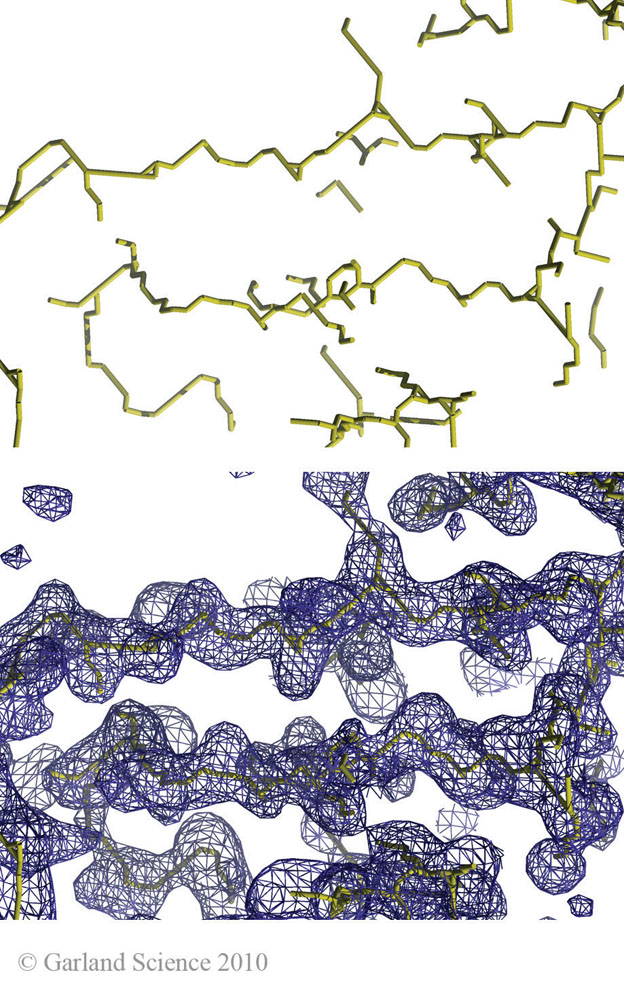 Biomolecular_Crystallography_Fig_12-39