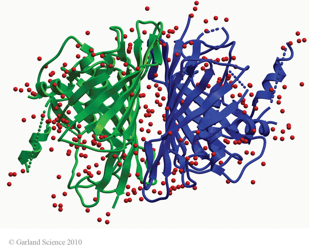 Biomolecular_Crystallography_Fig_12-40