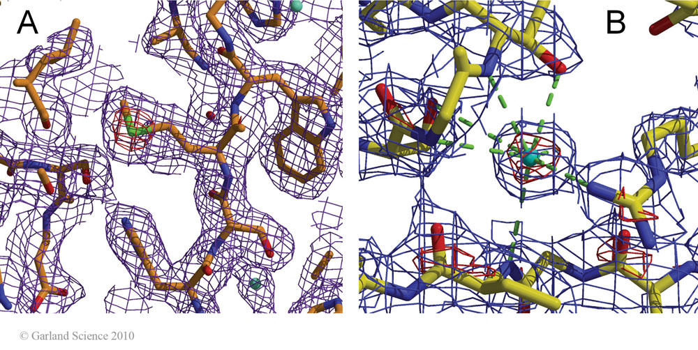 Biomolecular_Crystallography_Fig_12-42