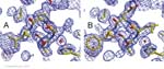 Biomolecular_Crystallography_Fig_12-26