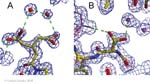 Biomolecular_Crystallography_Fig_12-33_AandB