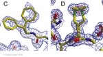 Biomolecular_Crystallography_Fig_12-33_CandD