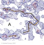 Biomolecular_Crystallography_Fig_12-37_A