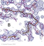 Biomolecular_Crystallography_Fig_12-37_B
