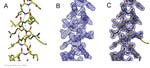 Biomolecular_Crystallography_Fig_12-37_PART1