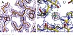 Biomolecular_Crystallography_Fig_12-42