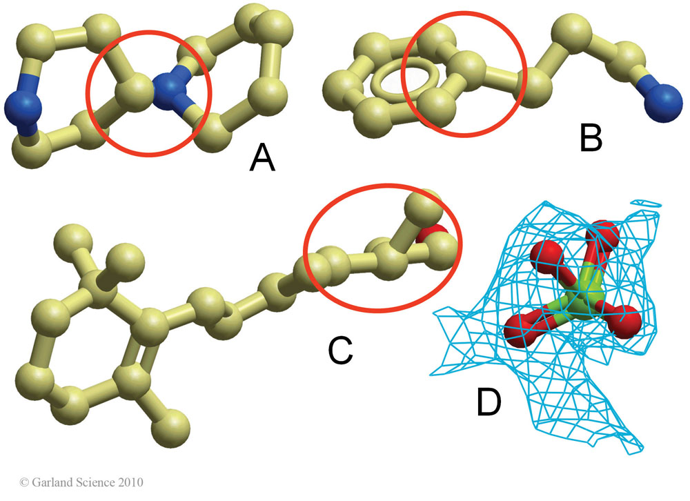 Biomolecular_Crystallography_Fig_13-10_PART1