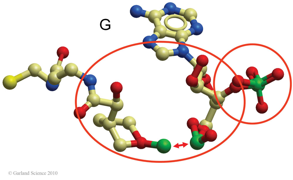 Biomolecular_Crystallography_Fig_13-10_PART3