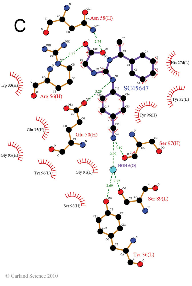 Biomolecular_Crystallography_Fig_13-13_PART2