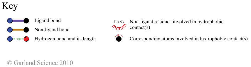 Biomolecular_Crystallography_Fig_13-13_PART3