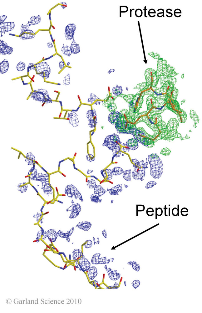 Biomolecular_Crystallography_Fig_13-19