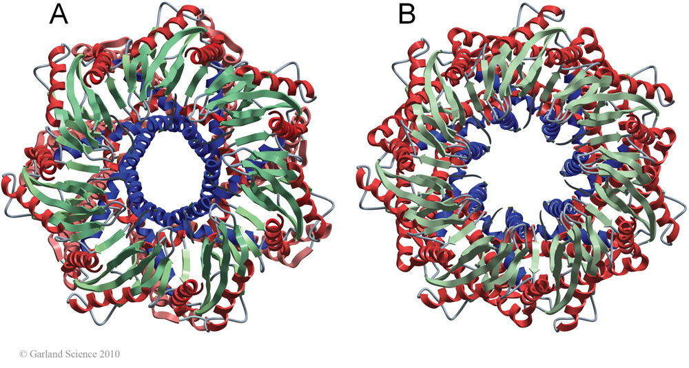 Biomolecular_Crystallography_Fig_13-23