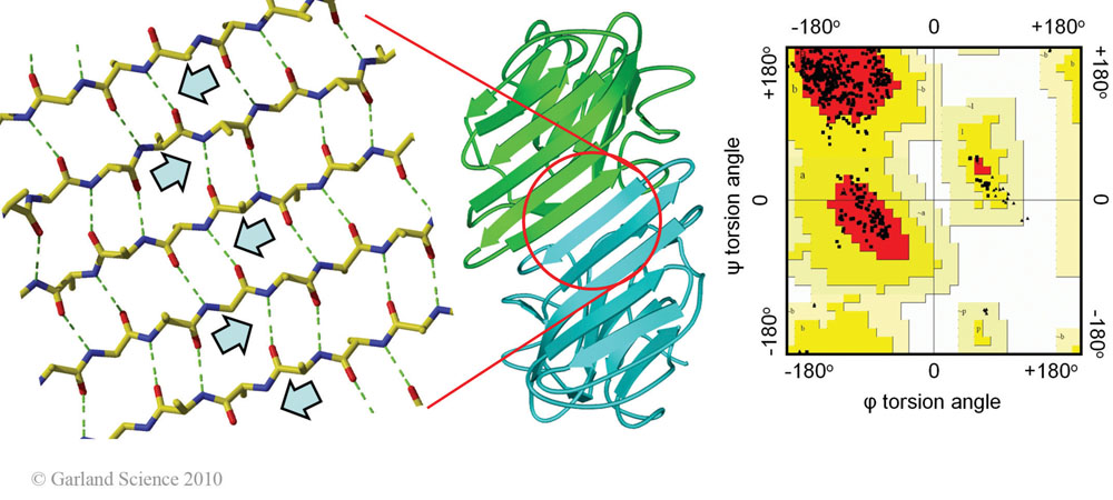 Biomolecular_Crystallography_Fig_2-15
