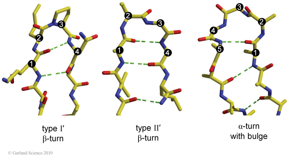 Biomolecular_Crystallography_Fig_2-17