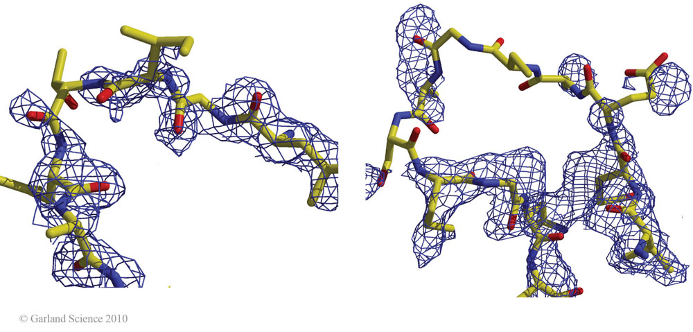 Biomolecular_Crystallography_Fig_2-18
