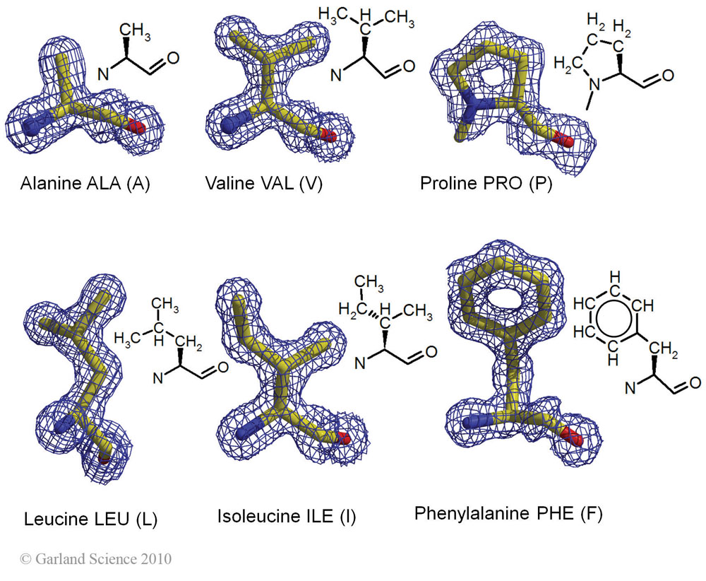 Biomolecular_Crystallography_Fig_2-20